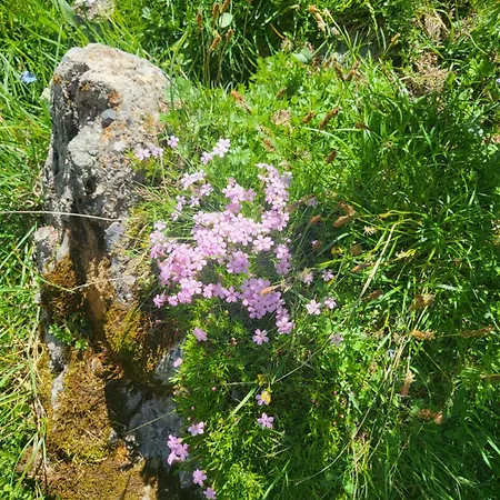 Bel 6 Couchages Allos